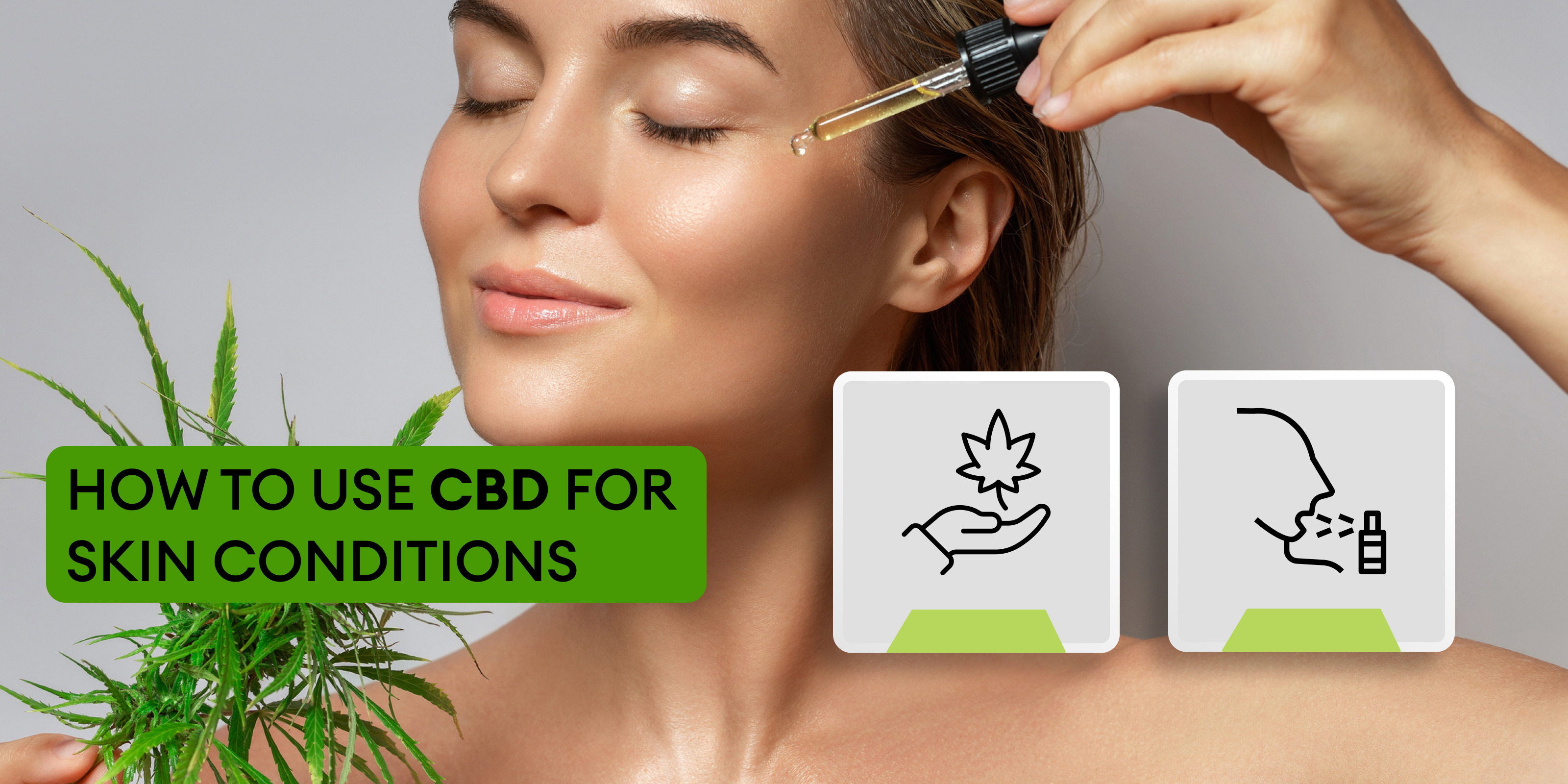 buy cbd oil online